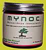 Mycorrhiza